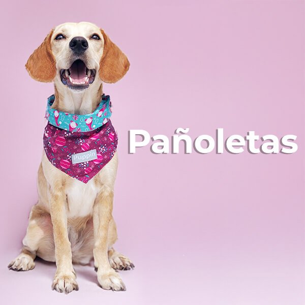 Pañoletas